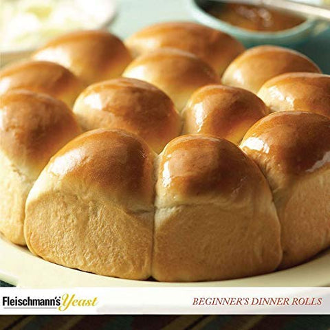 Image of Fleischmann's Instant Dry Yeast 1lb bag