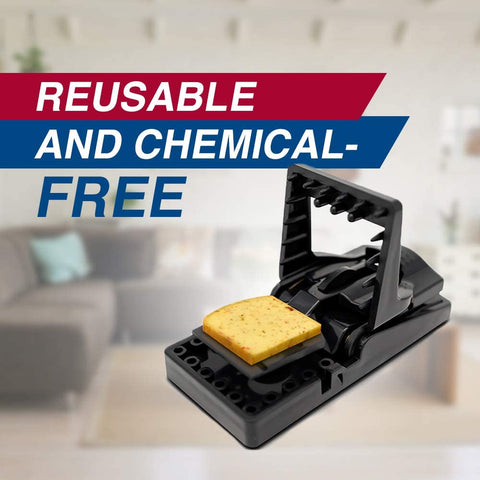 Image of PIC Simple Set Mouse Trap (8-Pack), Reusable Plastic Mouse Traps, Effective Small Mouse Traps, Pesticide-free Mouse Snap Trap, Easy-to-Use Small Mice Traps, Effective House Mice Traps Indoor & Outdoor