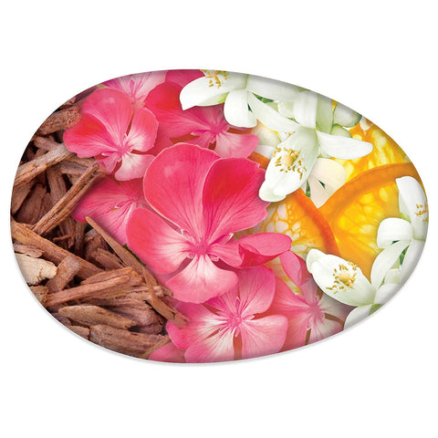 Image of Caress Beauty Bar Soap For Silky, Soft Skin Daily Silk With Silk Extract and Floral Oil Essence 3.75 oz 2 Bars