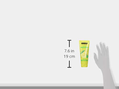 Freeman Oil Absorbing Clay Facial Mask, Pore Minimizing Beauty Face Mask with Mint and Lemon, 6 oz