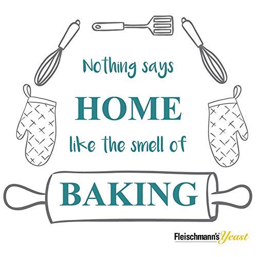 Fleischmann's Instant Dry Yeast 1lb bag