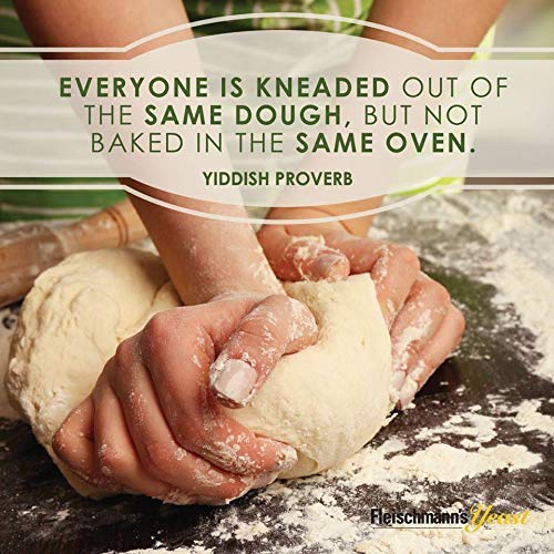 Fleischmann's Instant Dry Yeast 1lb bag