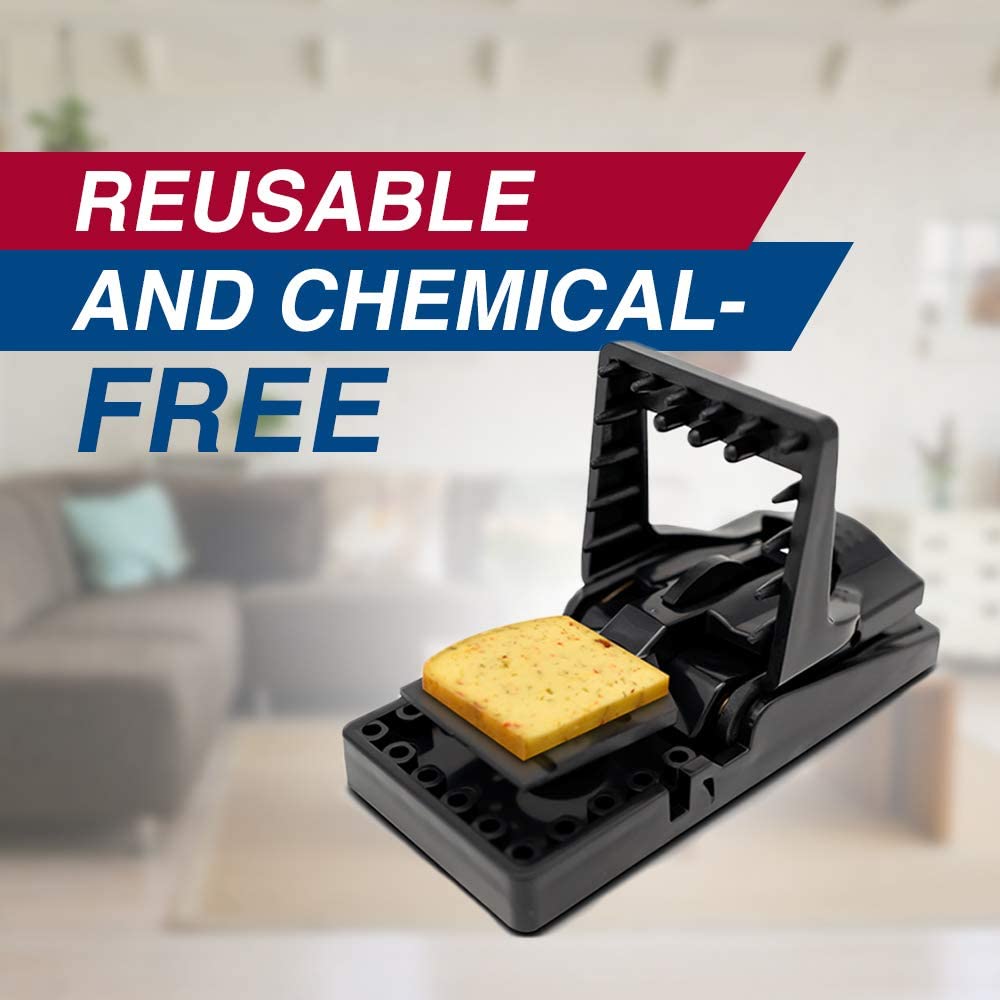 PIC Simple Set Mouse Trap (8-Pack), Reusable Plastic Mouse Traps, Effective Small Mouse Traps, Pesticide-free Mouse Snap Trap, Easy-to-Use Small Mice Traps, Effective House Mice Traps Indoor & Outdoor