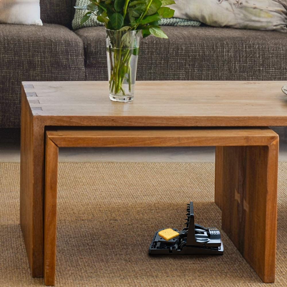 PIC Simple Set Mouse Trap (8-Pack), Reusable Plastic Mouse Traps, Effective Small Mouse Traps, Pesticide-free Mouse Snap Trap, Easy-to-Use Small Mice Traps, Effective House Mice Traps Indoor & Outdoor