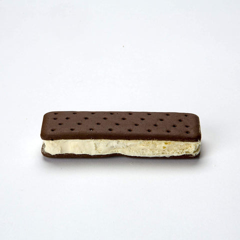Backpacker's Pantry Astronaut Vanilla Ice Cream Sandwich (One Serving Pouch)