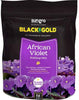 Sun Gro Horticulture Black Gold African Violet Mix