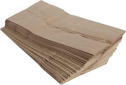 Image of Brown Paper Lunch Bag Recyclable Biodegradable