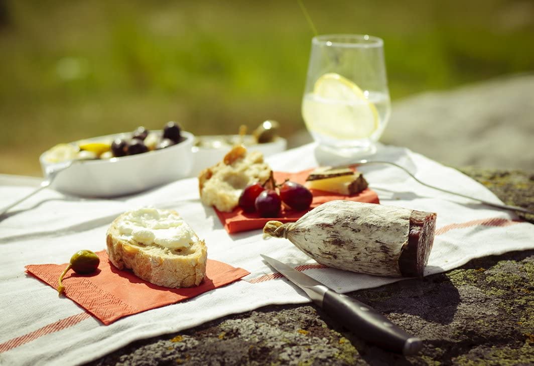 Ikea Dish Towel 101.009.09, Pack of 20, White, Red