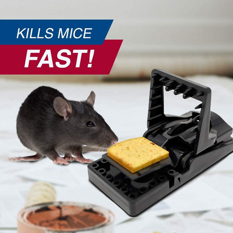 Image of PIC Simple Set Mouse Trap (8-Pack), Reusable Plastic Mouse Traps, Effective Small Mouse Traps, Pesticide-free Mouse Snap Trap, Easy-to-Use Small Mice Traps, Effective House Mice Traps Indoor & Outdoor