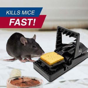 PIC Simple Set Mouse Trap (8-Pack), Reusable Plastic Mouse Traps, Effective Small Mouse Traps, Pesticide-free Mouse Snap Trap, Easy-to-Use Small Mice Traps, Effective House Mice Traps Indoor & Outdoor