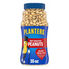 PLANTERS Dry Roasted Peanuts, 16 oz. Resealable Plastic Jars (Pack of 2), Peanuts with Sea Salt, Shareable Snacks, Heart Healthy Snacks for Adults, Great School Snack or Work Snack, Kosher