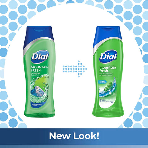 Image of Dial Body Wash, Mountain Fresh with All Day Freshness, 16 Fluid Ounces (Pack of 3)