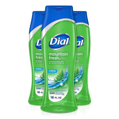 Image of Dial Body Wash, Mountain Fresh with All Day Freshness, 16 Fluid Ounces (Pack of 3)