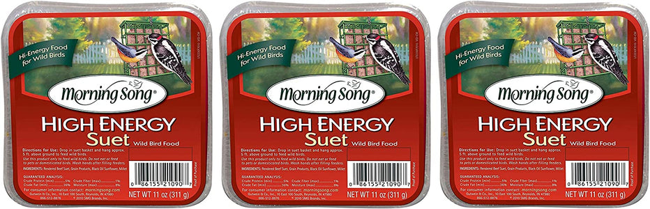 Morning Song 3 Pack of High Energy Suet Cakes, 11 Ounces Each, Wild Bird Food
